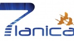 Planica 7 at the World Cup final