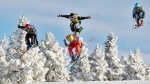 FIS Directory 2017: Deadline for updates 16th June