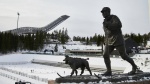 Positive snow control for Oslo and Trondheim