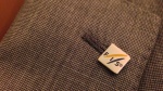 FIS Technical Committee Meetings underway