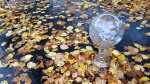 Reminder to Register for FIS Autumn Meetings