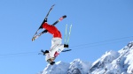 New statistical graphs on FIS website