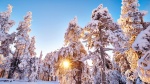 Cross-Country and Nordic Combined start season this weekend
