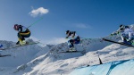FIS Anti-Doping statistics 2015/16