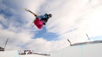 FIS Medical Committee contributes to educational measures on sports concussion