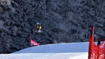 Tegenrnsee World Cup brings Audi ski cross action back to Germany