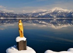 New location for Freestyle Ski World Cup Moguls events in Japan