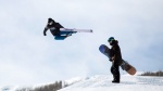Appointment of Freestyle, FreeSki and Snowboard Committee and Sub-Committee members