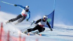 New season, new faces: Coaching changes in Freestyle Skiing