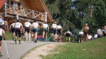 Latvian Rollerski Championships next weekend in Madona