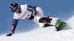 Austria dominates Lachtal EC
