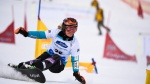 Time to Say Goodbye: Retirements in Snowboarding
