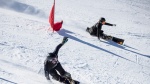 Russia takes five of six podium spots in Cardrona PGS