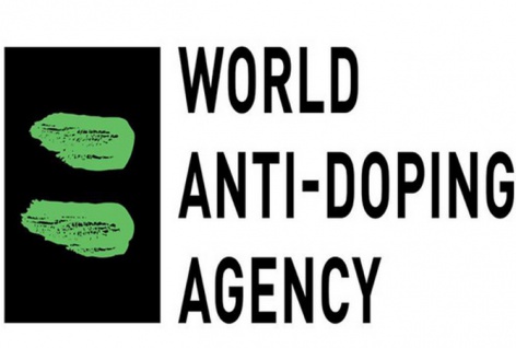 Два эксперта WADA будут работать в России на постоянной основе два года 