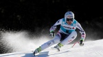 Matthias Mayer injured in training