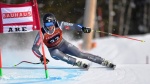 St. Moritz 2017 transfers knowledge to Are 2019