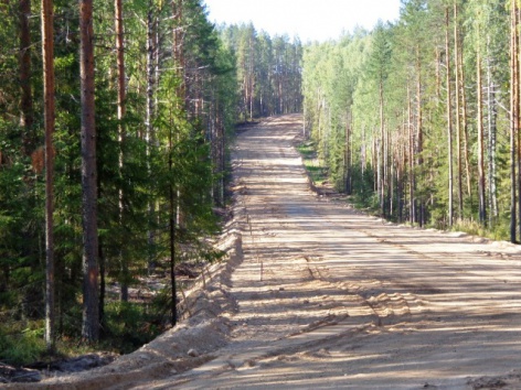 Лыжероллерную трассу в Малиновке сдадут в сентябре