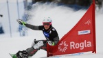 Yvonne Schuetz announces retirement
