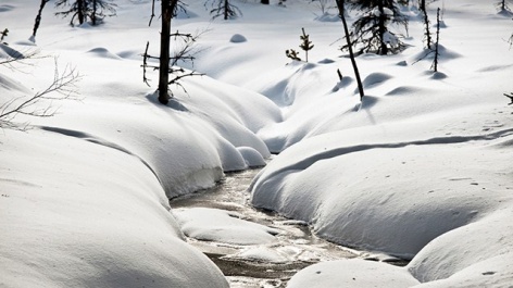 Falun 2015 receives ISO certification for sustainable World Championships