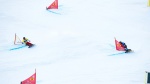 World Cup leaders Ledecka and Galmarini rule Lackenhof PGS