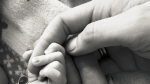 Schild and Raich became parents
