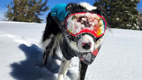 Top impressions from World Snow Day 2018