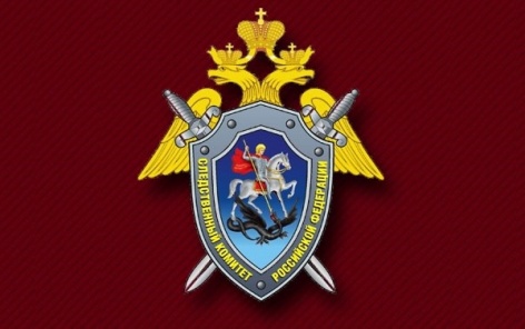 СК опроверг доводы Макларена 