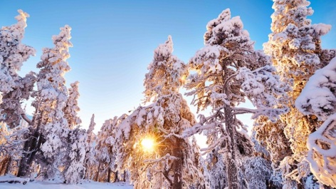 Cross-Country and Nordic Combined start season this weekend